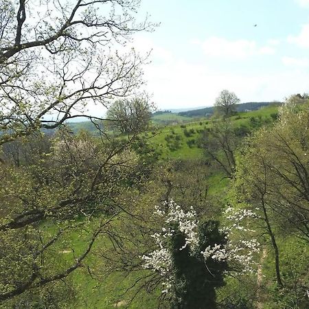 Gite Les Cadichons De La Grange Saint-Péray Buitenkant foto