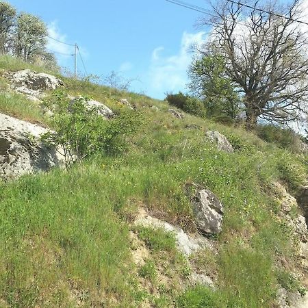 Gite Les Cadichons De La Grange Saint-Péray Buitenkant foto