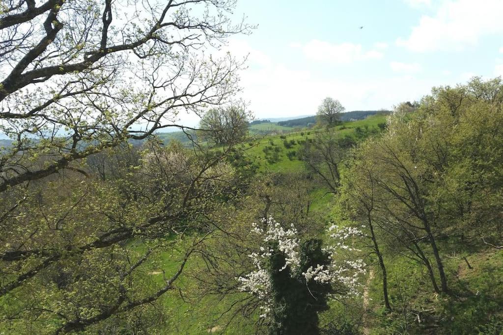 Gite Les Cadichons De La Grange Saint-Péray Buitenkant foto