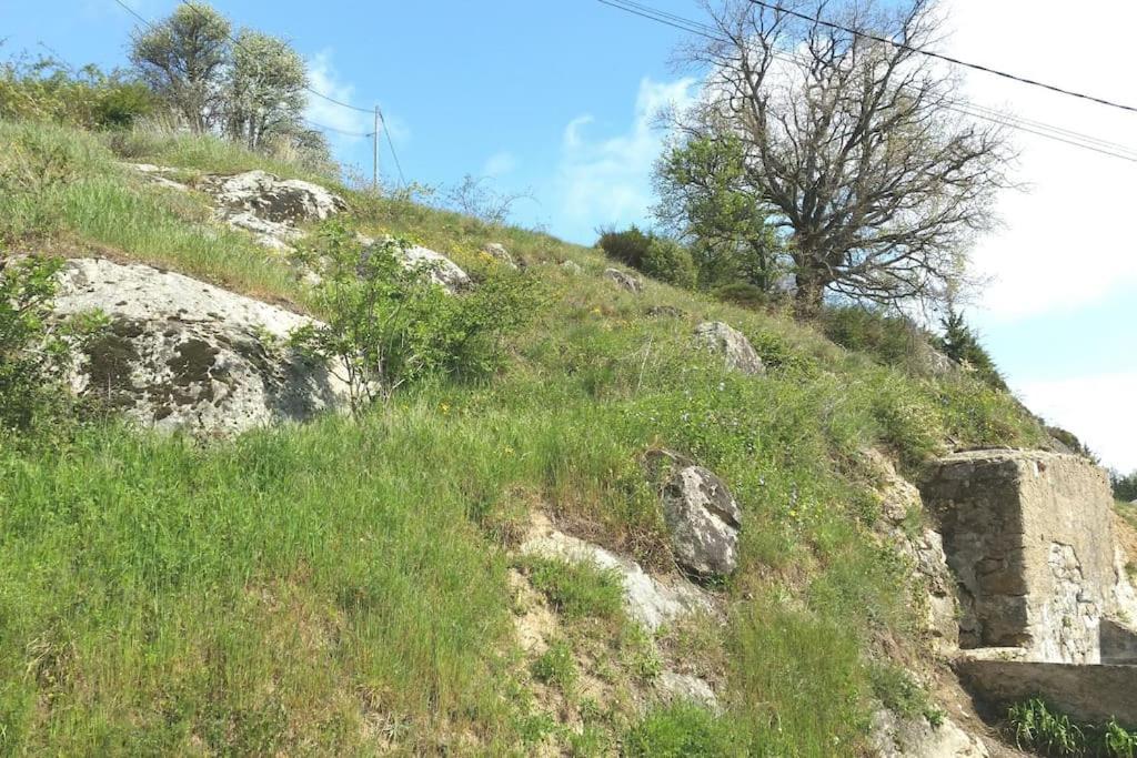 Gite Les Cadichons De La Grange Saint-Péray Buitenkant foto