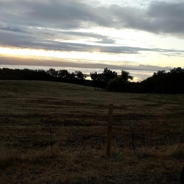Gite Les Cadichons De La Grange Saint-Péray Buitenkant foto